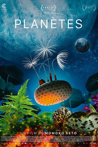 Dandelion's Odyssey poster