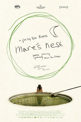 Mare's Nest poster
