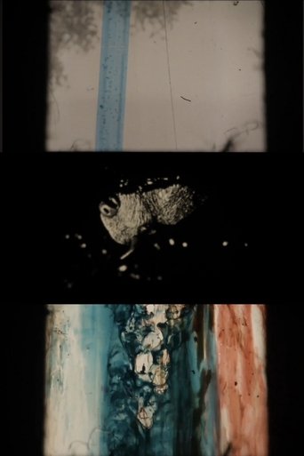 The Rip poster